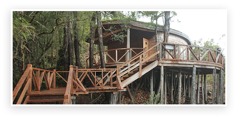 Yaldad Parque Tantauco